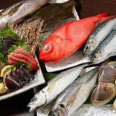 海鮮 地鶏 炭焼酒場 はまや