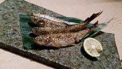 北海道鵡川産『本ししゃも』