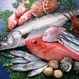 産地直送鮮魚【毎朝仕入れる新鮮な海の幸】