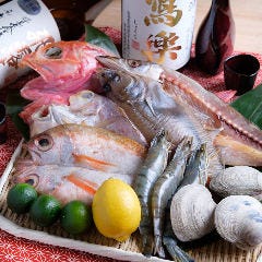 海鮮にこだわった料理をお楽しみください。