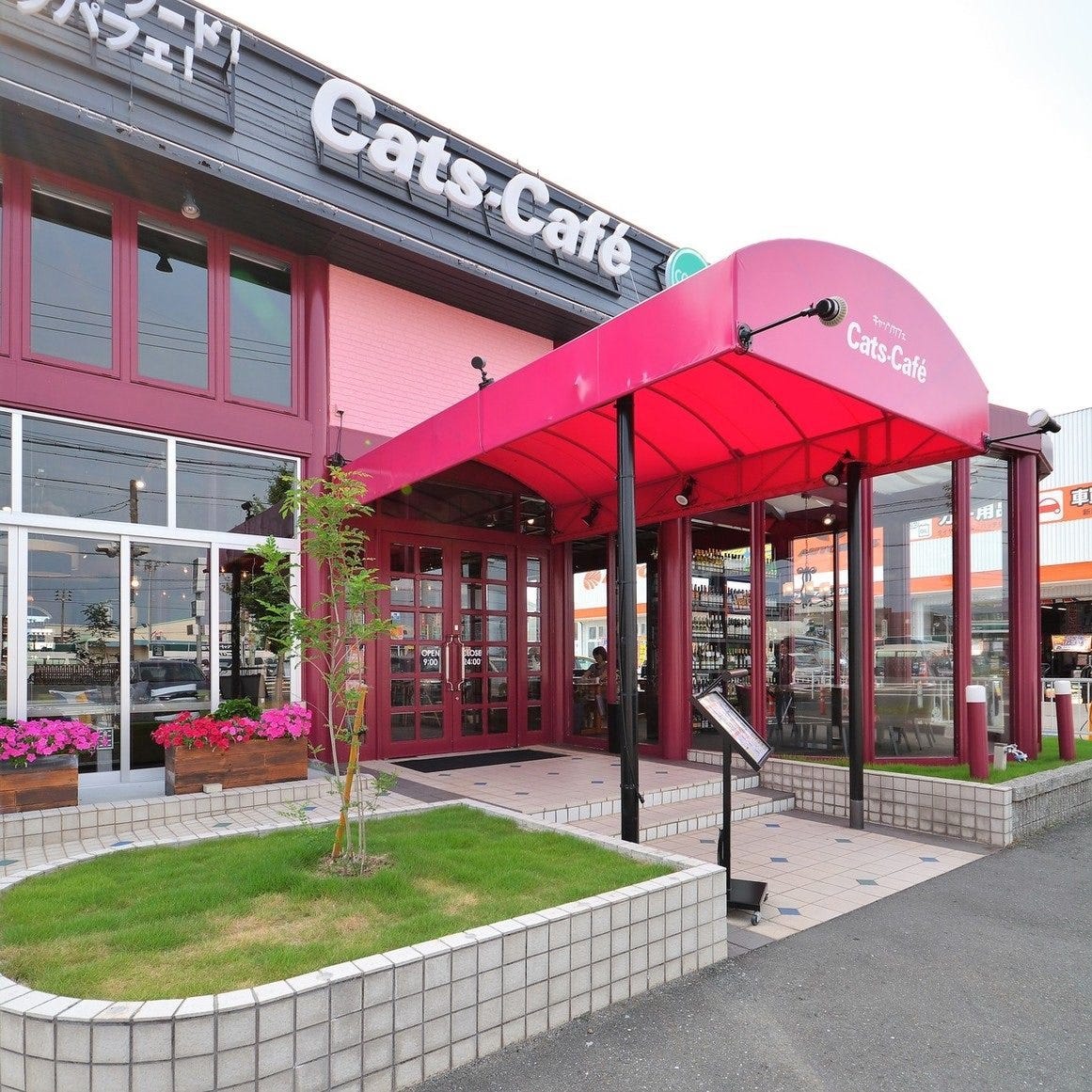 Kyattsu Cafe Toyohashiten image