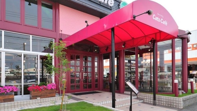 キャッツカフェ 豊橋店 豊橋 オムライス ぐるなび キャッツカフェ 豊橋店 豊橋 オムライス ぐるなび