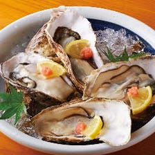 北海道産牡蠣の食べ比べ
