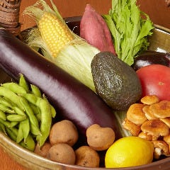 採れたての季節の旬の野菜を使って 素材を活かし調理します。