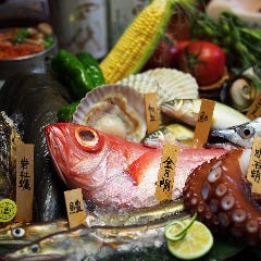四季折々の魚に野菜、厳選した上質国産牛をアラカルトでも堪能