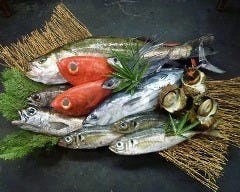 魚我志 むさし