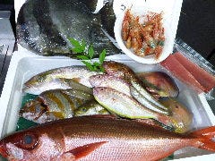 長崎県五島列島など各地から取り寄せる鮮魚
