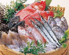 裏なんば酒場 魚伝