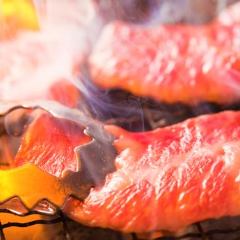 武蔵溝ノ口で焼肉食べ放題があるお店