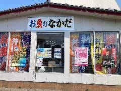 お魚のなかだ