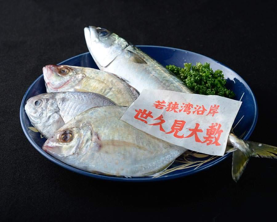 若狭湾天然活魚料理 大将