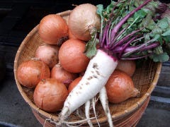 ＧＲＥＥＮ ＳＰＯＴ 