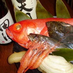 酒楽厨房うめぇや たかの