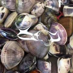 活き活き家 東金店 