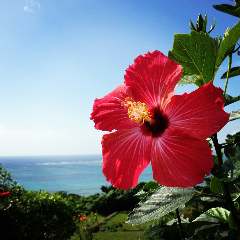 沖縄酒場ハイサイ 梅田本店 