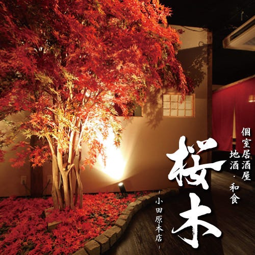 個室居酒屋 地酒 和食 桜木 小田原本店 小田原 南足柄 居酒屋 ぐるなび 個室居酒屋 地酒 和食 桜木 小田原本店 小田原 南足柄 居酒屋 ぐるなび