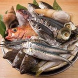 日本全国から厳選した季節の鮮魚を贅沢に味わえます！【北海道】