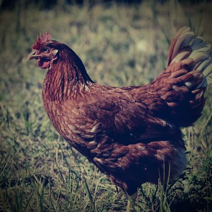 美味しいお店が見つかる 宮古島の居酒屋でおすすめしたい人気のお店 ぐるなび