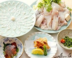 ふぐとすっぽん料理のお店 魚がし 浅草