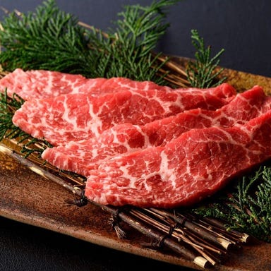 先斗町 焼肉やまかわ 本店_希少部位も揃う充実の飲み放題コース