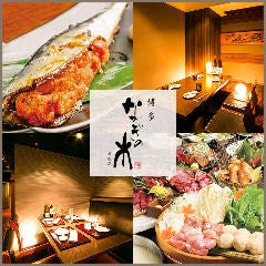 創作居酒屋 はれの木ダイニング