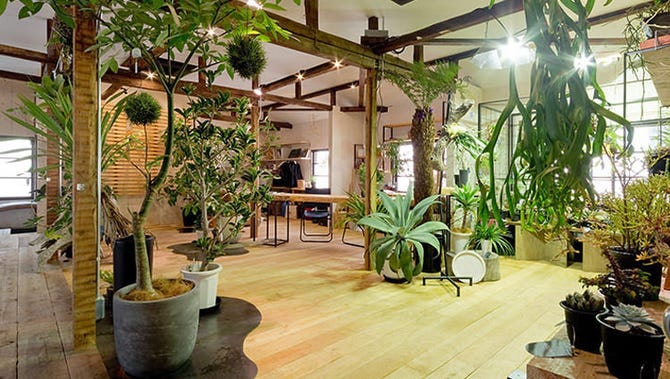 グランピング肉バル Fun Space Diner なんば なんば 難波 カフェ ぐるなび