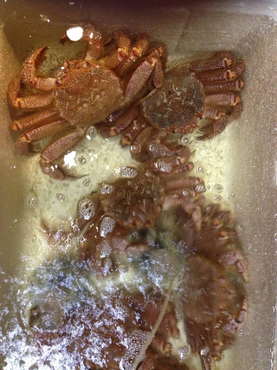 豊年 日野 魚料理 ぐるなび