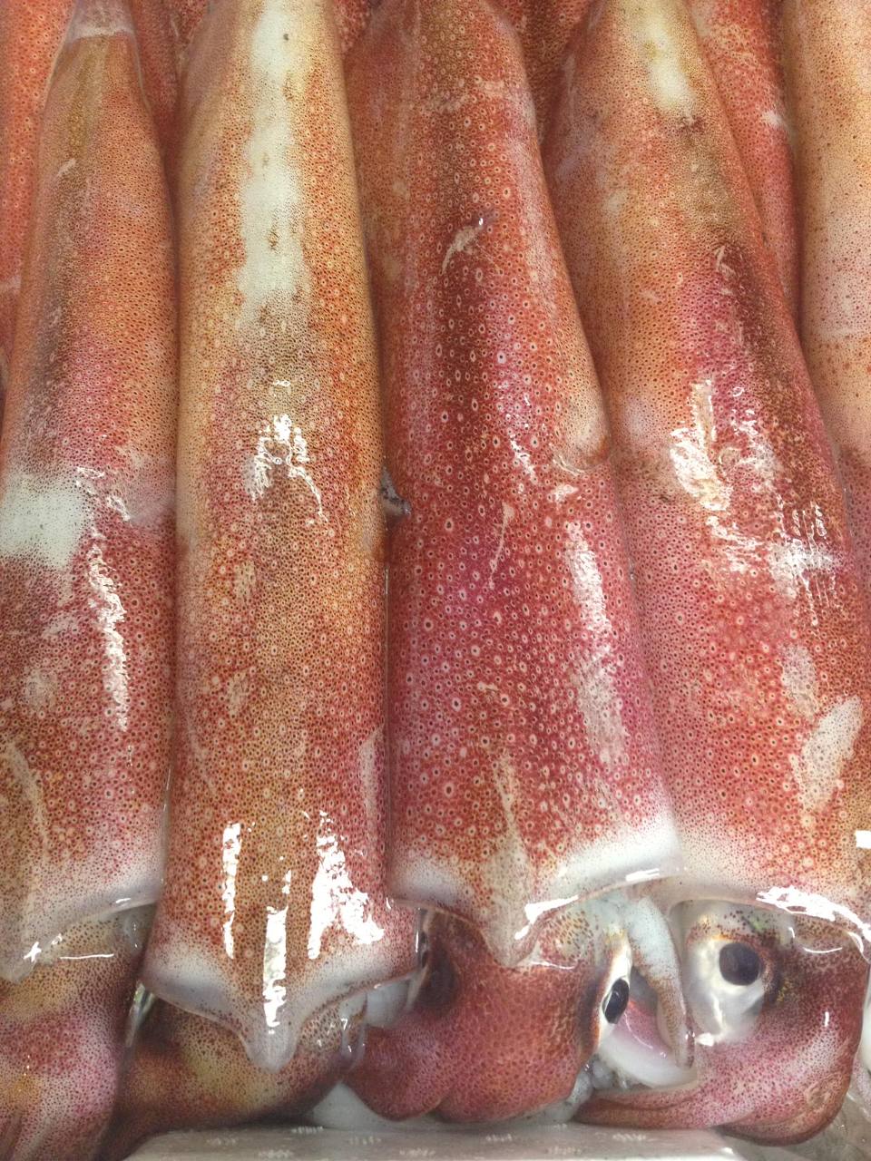 豊年 写真 ぐるなび