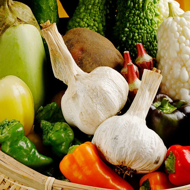 22年 最新グルメ 赤坂 六本木 麻布にある猫と一緒に行けるお店 レストラン カフェ 居酒屋のネット予約 東京版