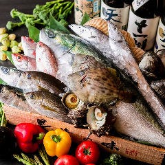 仲買人直営！漁港で直接仕入れるとびきり鮮度の良い魚をご提供！