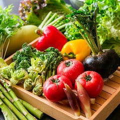鈴木ファーム直送の瑞々しい三浦野菜！旬味溢れる料理でご提供