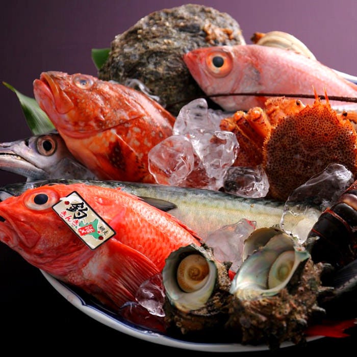 旬魚菜 よし田 南本町店 北浜 本町 居酒屋 和食 海鮮料理 Gooグルメ