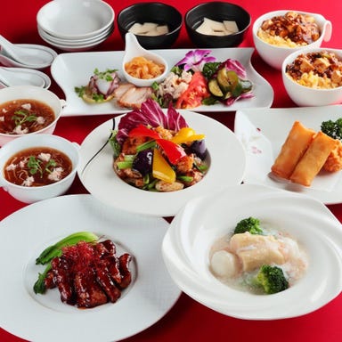 中国料理 百楽天王寺店  コースの画像