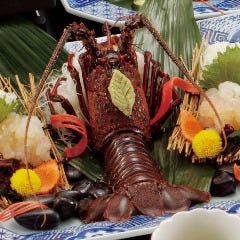 旬な伊勢海老をお手頃に食べられる！東京で美味しいおすすめのお店はどこですか？