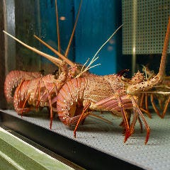 中納言 東京大森ベルポート店 メニュー グランドメニュー ぐるなび