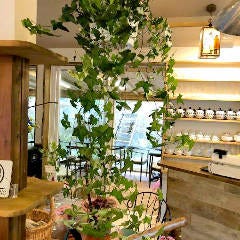 花と果樹の東山ガーデン
