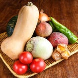 野菜ソムリエが選ぶ季節の野菜【その他全国各地から】