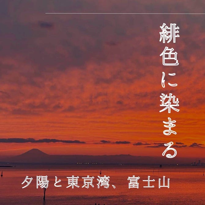 海に夕陽沈むレストラン 舵輪 木更津 居酒屋 ぐるなび