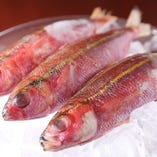 ぐるくん（グルクン）
～タカサゴ科のお魚。沖縄の県魚～