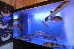 五郎八 310WB2NUi3L._AC_UF350,