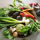 自家農園で野菜を栽培するなど、拘りの食材を使用。