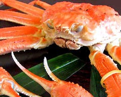 海の幸 食処 えちぜん