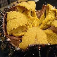 海鮮居酒屋 いさり 