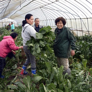 花様 ka－you 阪急梅田 近江野菜自家栽培ファーム直送店 こだわりの画像