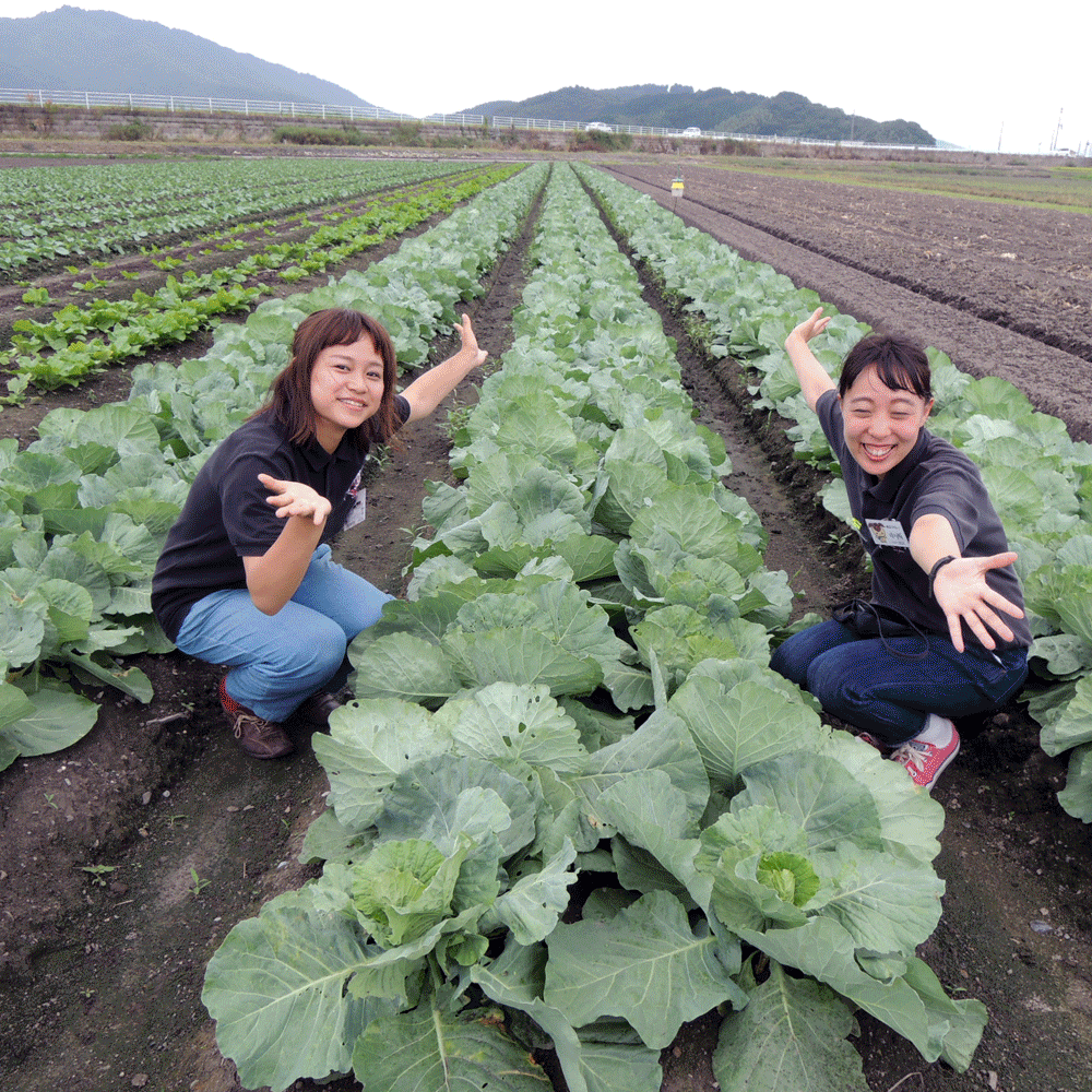 滋賀県内３００人以上の生産者様
月間１００種類以上の近江野菜