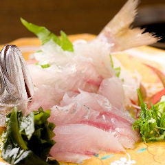 【刺身がド美味い!!】 漁師直送！生捕り漁！翌日納品！