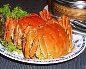 上海蟹（秋限定）要予約