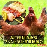 秋田『比内地鶏』全国約150の銘柄鶏の中から日本三大地鶏に選出