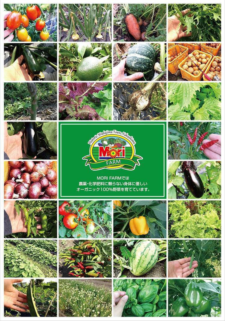 徳島の農園から直送 自然栽培の野菜