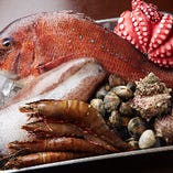 鳴門海峡の複数の海域でたくましく育った徳島産鮮魚【徳島県】